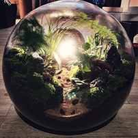 Terrarium Genova