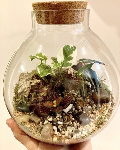 Terrarium Genova