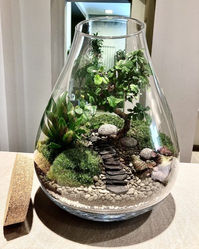 Terrarium Genova