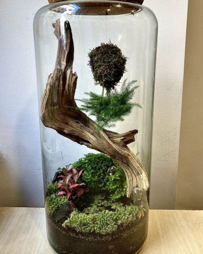 Terrarium Genova